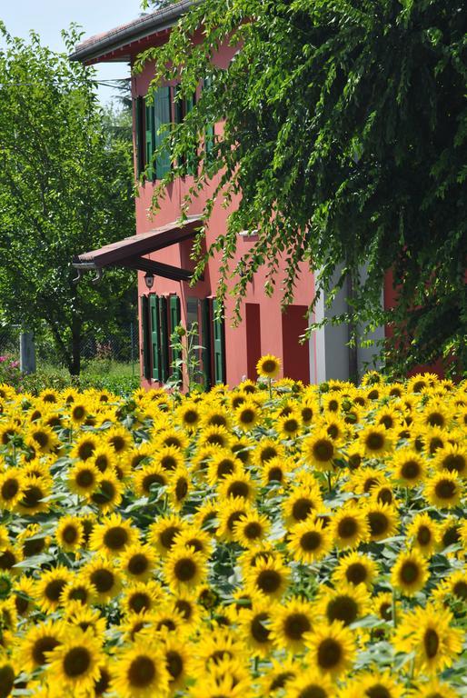 La Cascina B&B Calderara di Reno Esterno foto