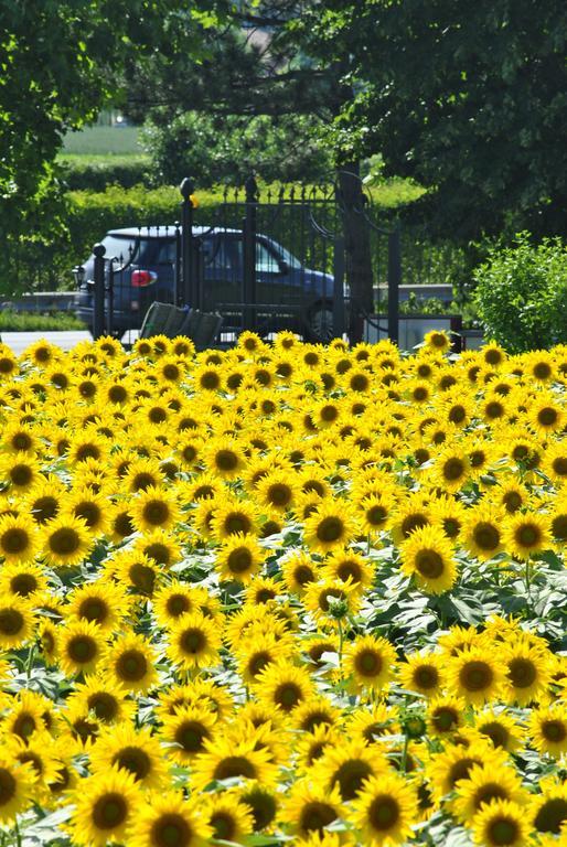 La Cascina B&B Calderara di Reno Esterno foto