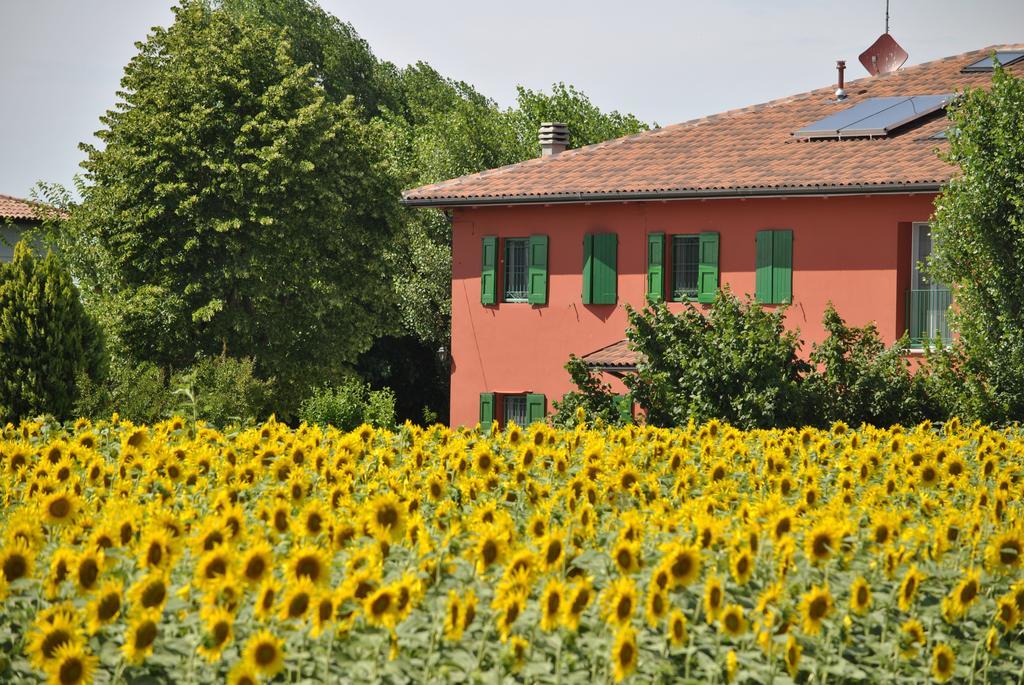 La Cascina B&B Calderara di Reno Esterno foto